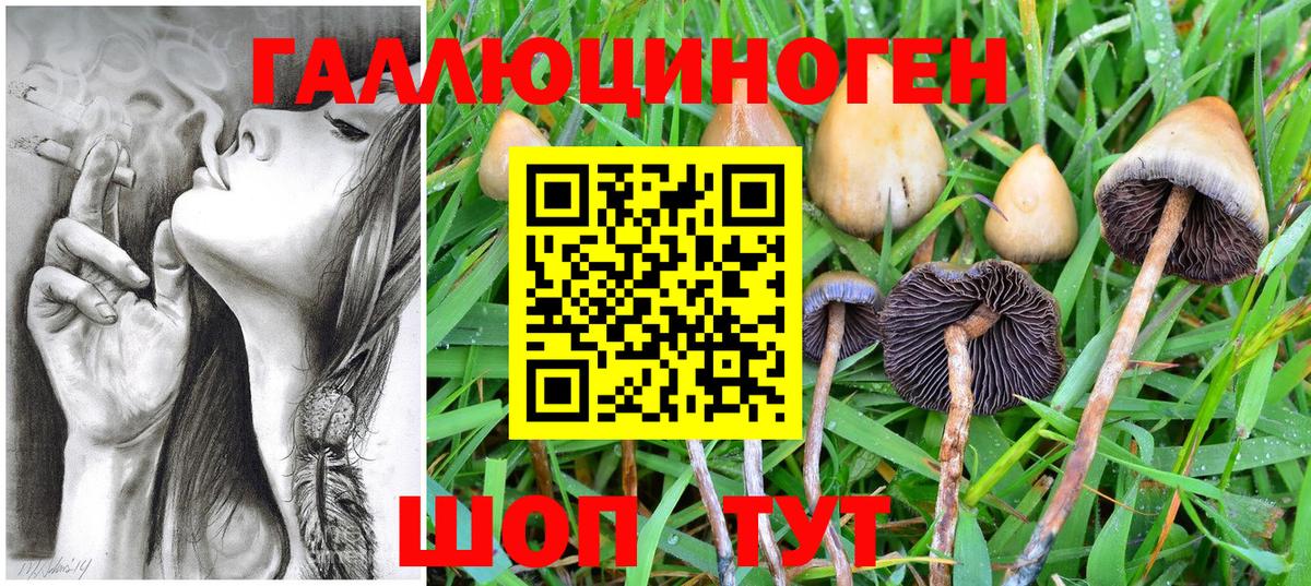 Галлюциногенные грибы Magic Shrooms Ефремов