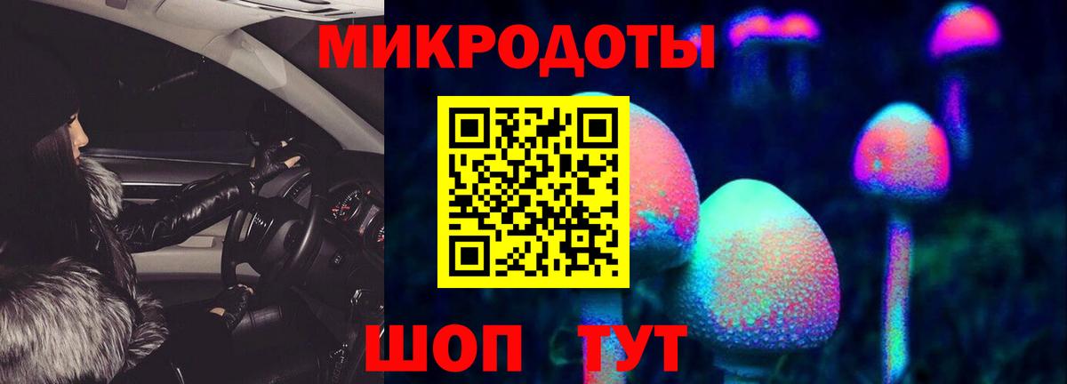 Ефремов  Псилоцибиновые грибы Magic Shrooms  Вход с VPN 